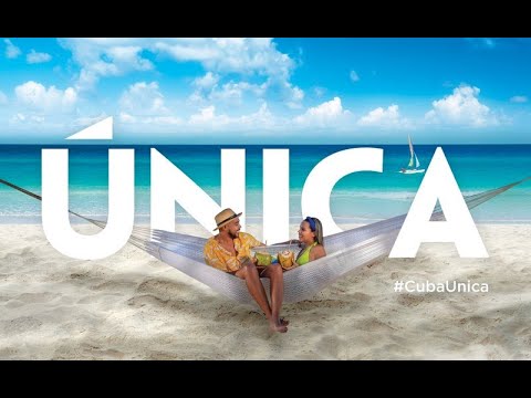Relájate en la playa: Disfruta del sol y la hamaca perfecta