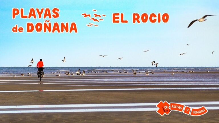 Descubre las increíbles Experiencias en las playas de Sanlúcar