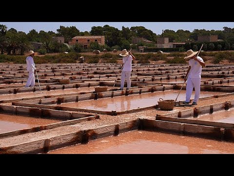 Descubre la deliciosa gastronomía del norte de Mallorca: una experiencia culinaria única