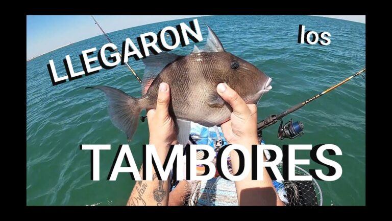 Descubre la deslumbrante arena dorada de Chipiona: el para&iacute;so playero que debes visitar