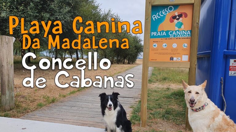 Descubre las playas de A Coru&ntilde;a: &iexcl;Informaci&oacute;n actualizada al detalle!