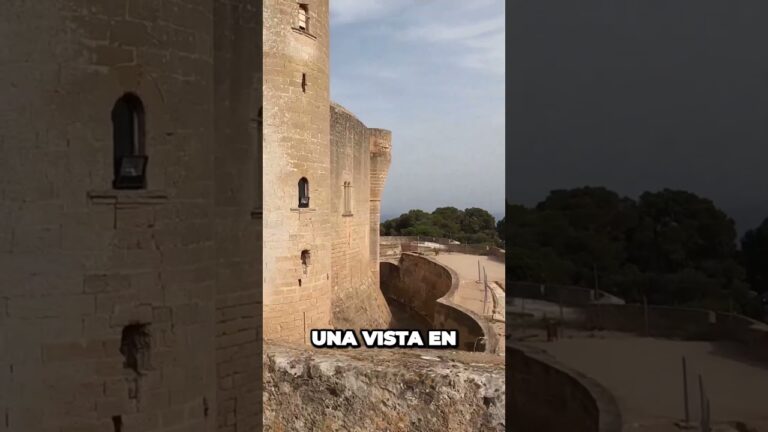 Deslúmbrate con la belleza de las playas en Mallorca