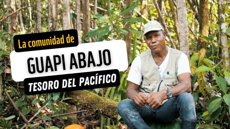 Descubre la riqueza natural de las playas colombianas: un para&iacute;so costero