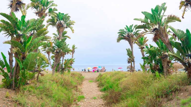 Descubre el paraíso del turismo de sol y playa en La Cala del Moral