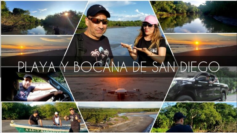 Maravillas naturales: Descubre la fauna y flora del pantano de San Juan