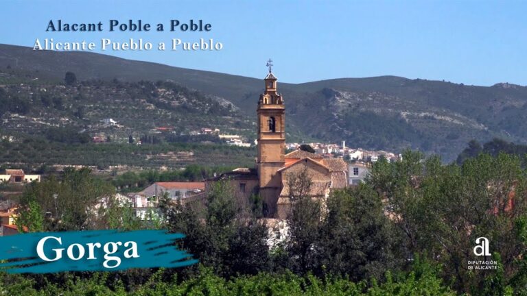 Descubre la fascinante Ruta del Olivo en Alicante: un viaje sensorial