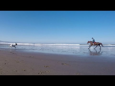 Descubre las impresionantes playas de Soto del Barco: ¡un paraíso costero!