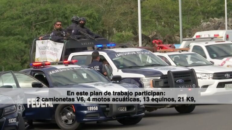 Seguridad playera: prevenci&oacute;n de delitos a trav&eacute;s de c&aacute;maras