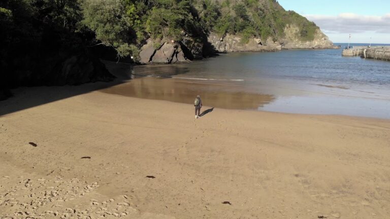 Descubre las playas dog-friendly en Bizkaia: &iexcl;diversi&oacute;n para todos los peludos!