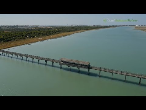 Descubre las Mejores Playas en Puerto Real: Paraíso en el Mar