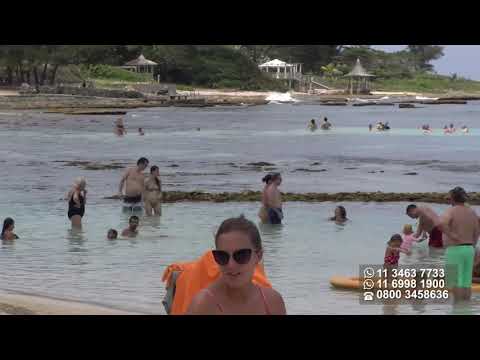 Descubre las Mejores Playas de Jamaica: Paraíso Caribeño para tus Vacaciones