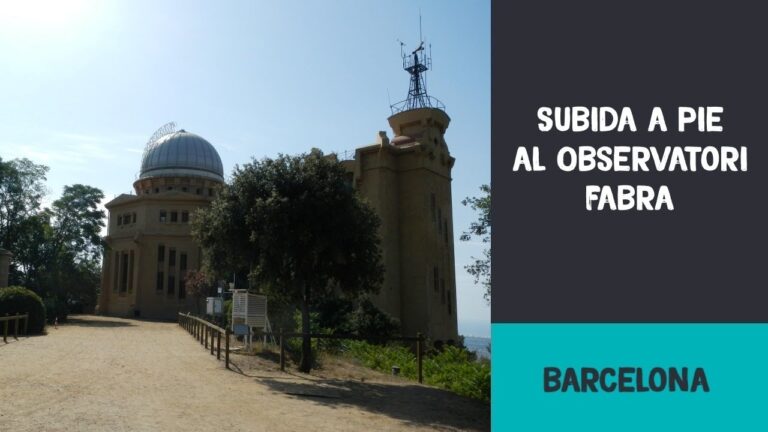 Descubre las impresionantes rutas de senderismo cerca de las playas de El Prat de Llobregat