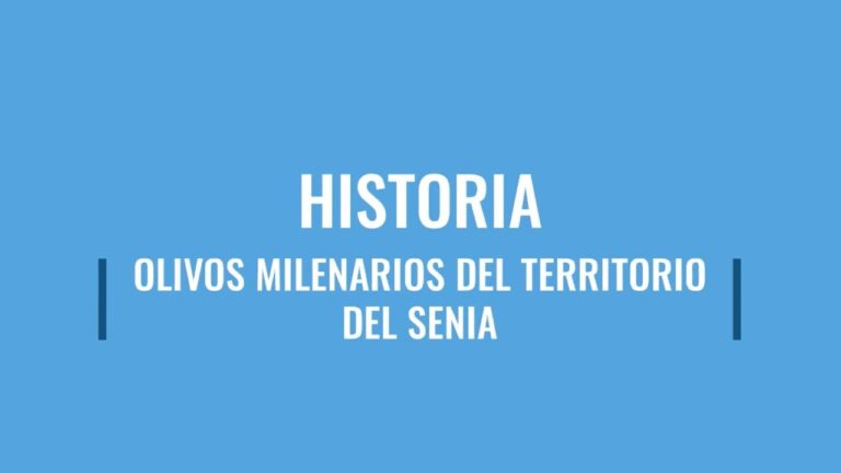 Descubre las playas de Benicarl&oacute;, tu destino para relajarte