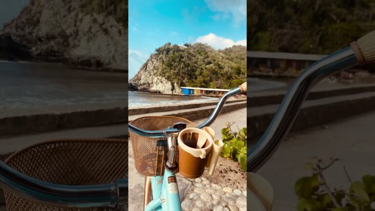 Descubre el para&iacute;so tropical en Choron&iacute;: Naturaleza exuberante y playas paradis&iacute;acas
