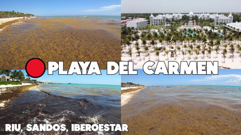 Turistas desvelan sus opiniones sobre las playas del Vicario: &iexcl;Descubre los secretos mejor guardados!