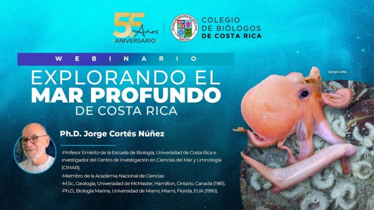 Descubre los secretos de la costa de la Marina: ¡Exploración en primera persona!