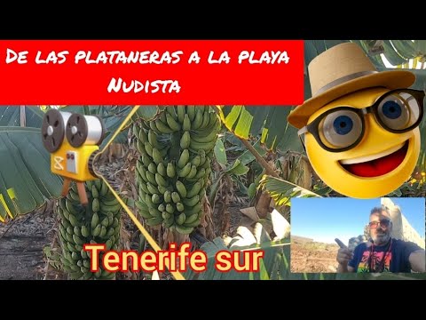 Descubre las increíbles playas nudistas del sur de Tenerife