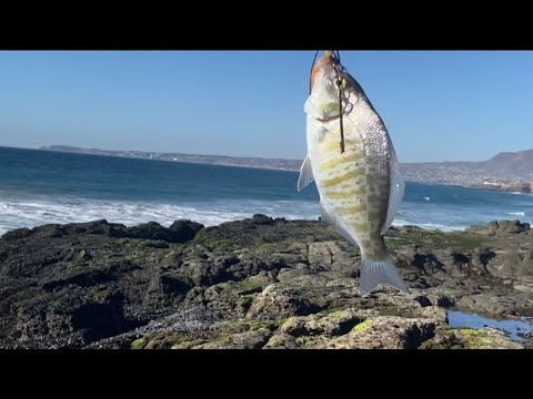 Descubre las mejores playas familiares en Rosarito: &iexcl;Un para&iacute;so playero para disfrutar en familia!
