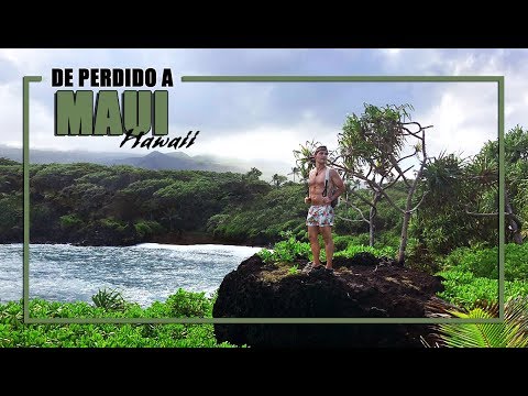 Descubre la relajación y diversión en las paradisíacas playas de Hawái