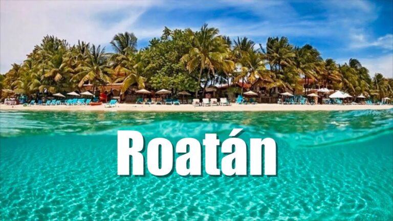 Descubre las maravillas submarinas explorando las costas de Roat&aacute;n