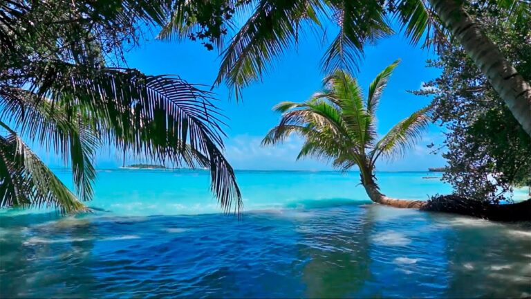 Descubre la tranquilidad en las playas paradisíacas de la Isla de la Toja