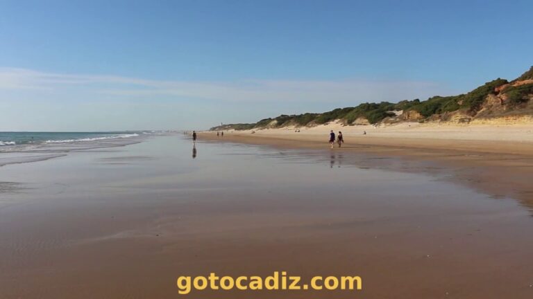 Descubre Roche Conil: playas paradisíacas esperan por ti