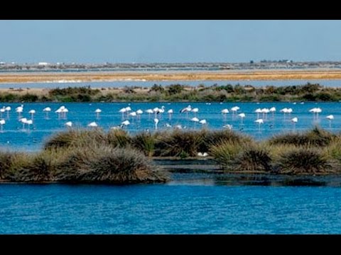 Descubre los Paraísos Costeros de El Puerto de Santa María: Un Destino de Ensueño