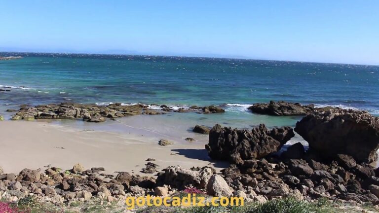 Nuevas maravillas: Descubre las playas de Punta Paloma
