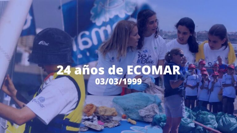 Descubre las maravillas costeras desde casa: Explora las costas a través de webcams