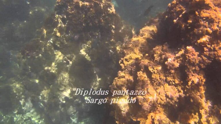 Descubre las maravillas naturales de Maro: un para&iacute;so sorprendente