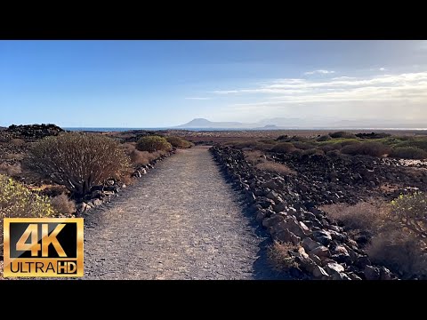 Descubre los Secretos del Litoral Norte de Fuerteventura: Para&iacute;sos Escondidos en el Atl&aacute;ntico