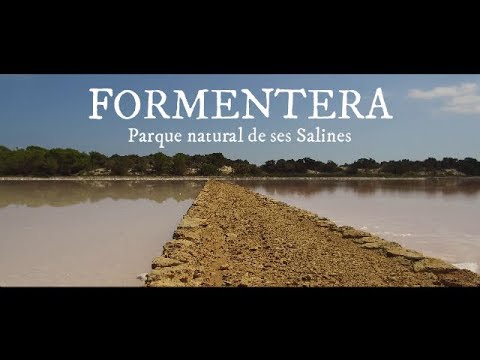 Descubre la guía definitiva de playas en Las Salinas, Ibiza