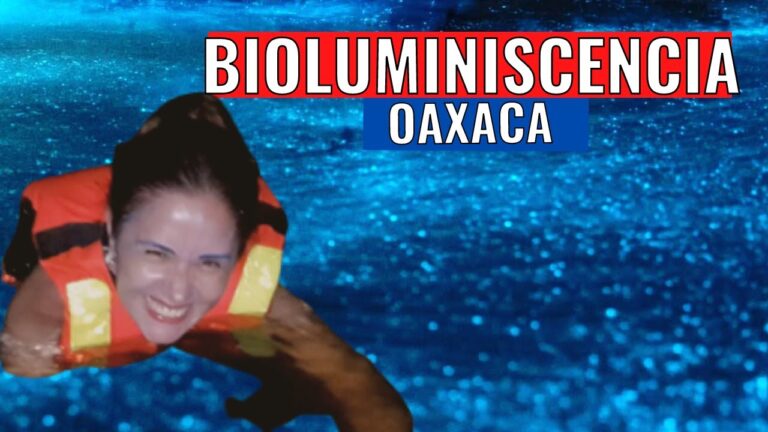 Deslúmbrate con las playas bioluminiscentes: experiencias únicas