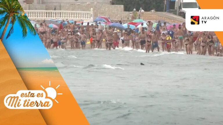 Descubren Tiburones en el Mediterráneo: ¿Amenaza o Fascinación?