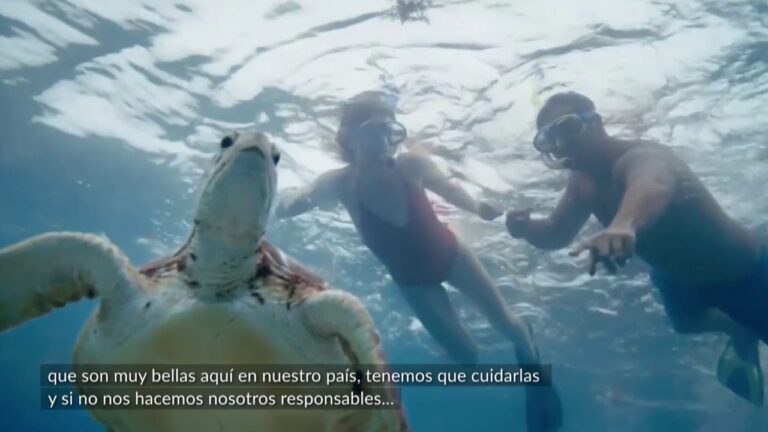 Descubre las playas sostenibles y limpias que te sorprenderán
