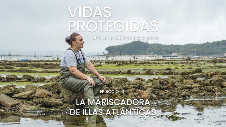 Descubre las increíbles playas de Vilagarcía de Arousa