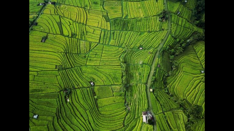 Descubre los Para&iacute;sos Tropicales de Bali: Destino Ex&oacute;tico