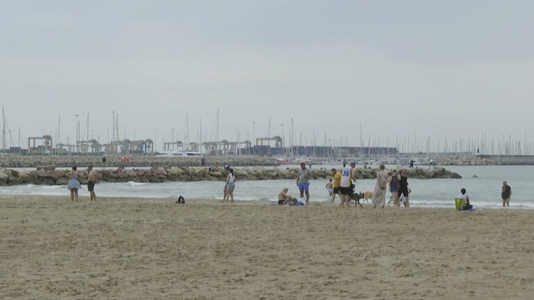 Descubre las Mejores Playas Caninas en Valencia: Disfruta del Paraíso Canino