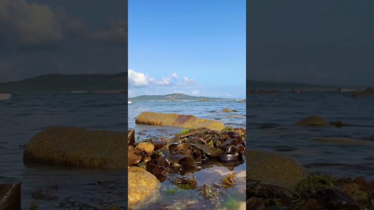 Descubre la magia de las playas gallegas a través de la fotografía