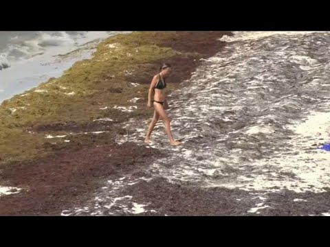 Descubre las playas paradisíacas de México: un paraíso en la tierra