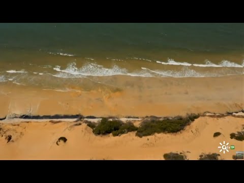 Descubre las paradis&iacute;acas playas de Ayamonte
