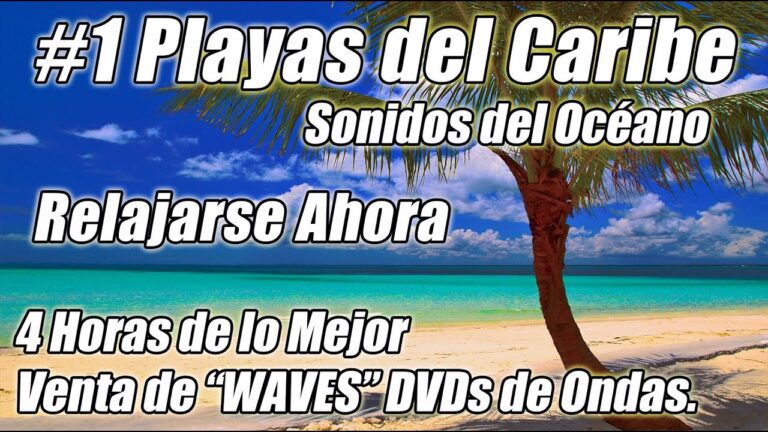Descubre la relajación en las mejores playas: ¡un paraíso para desconectar!