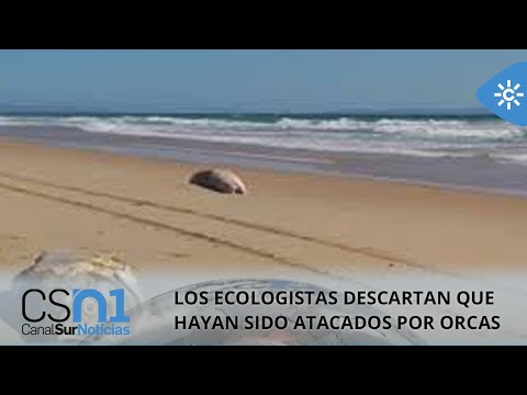 Descubriendo Zahara: Para&iacute;sos playeros que te enamorar&aacute;n