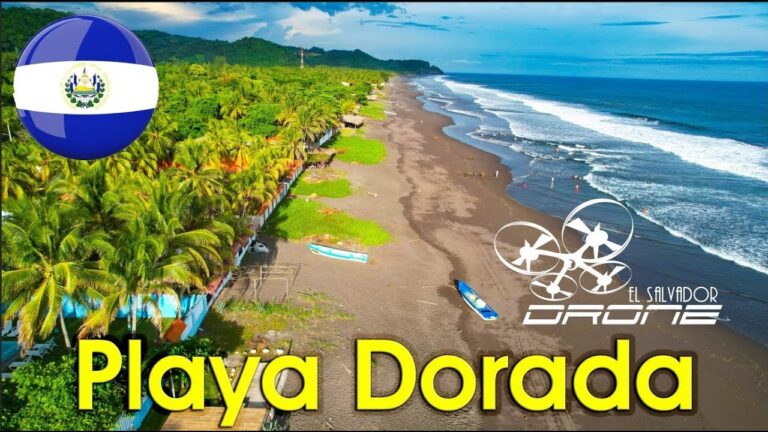 Playas en vivo: sumérgete en una experiencia única de transmisiones en directo
