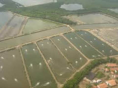 Descubre las increíbles actividades acuáticas en las playas de Vivero