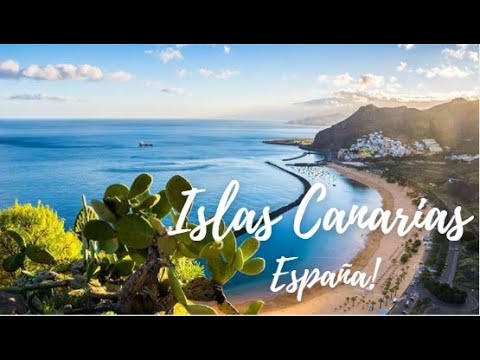 Descubre la maravilla de la arena blanca en las costas de Tenerife