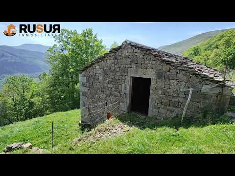 Explora los encantos de las playas de Vizcaya: ¡Un paraíso costero por descubrir!