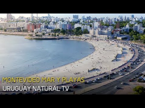 Descubre las paradisíacas playas de Montevideo en Uruguay