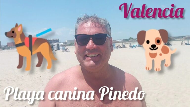 Playas caninas en la costa valenciana: ¡diversión asegurada para tu mejor amigo!