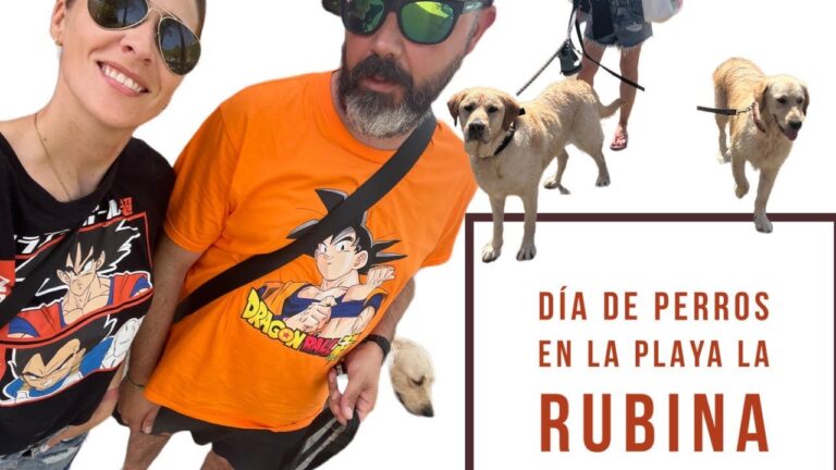 Playas dog-friendly: disfruta del verano con tu mejor amigo